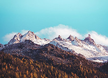 官方赛程-外媒：冬泳爱好者成北京冬日风景线